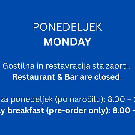 Гостевой дом Gostilna S Prenocisci Danica