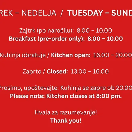 Gostilna S Prenocisci Danica Гостевой дом