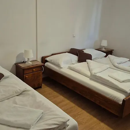 Gostilna S Prenocisci Danica Guest house 3*